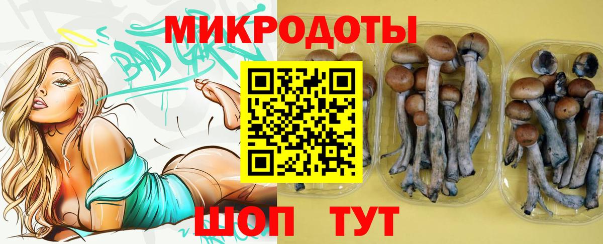 Борисоглебск  Галлюциногенные грибы GOLDEN TEACHER  Вход с VPN 